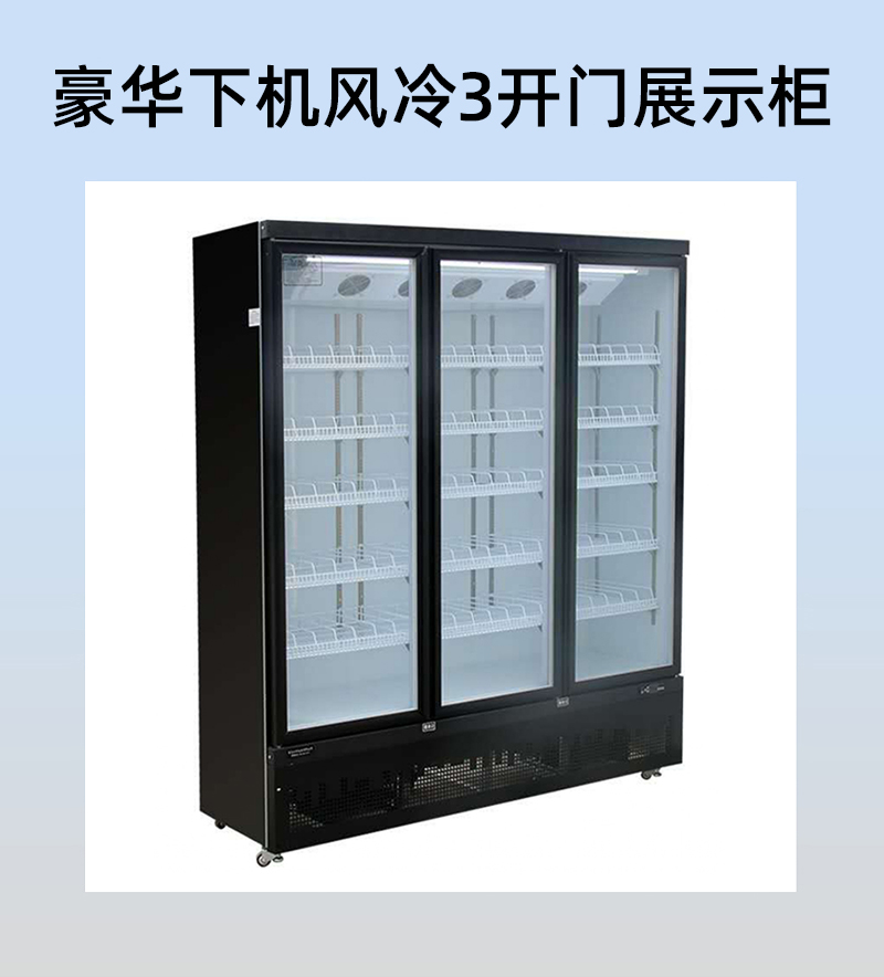 风冷展示柜 单门冷藏展示柜 多门保鲜展示柜 西安单双门冷藏展示柜 厂家直销