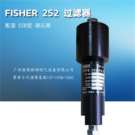 美国FISHER252过滤器252-1S/252-2S