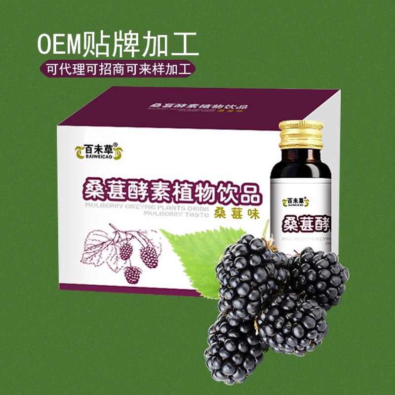 桑葚酵素植物饮品OEM代加工山东皇菴堂桑葚酵素饮料odm厂家