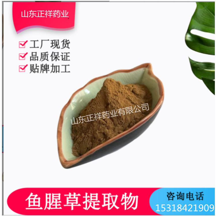 鱼腥草提取物 源头工厂 OEM贴牌代加工 泡罩压板 规格可定制