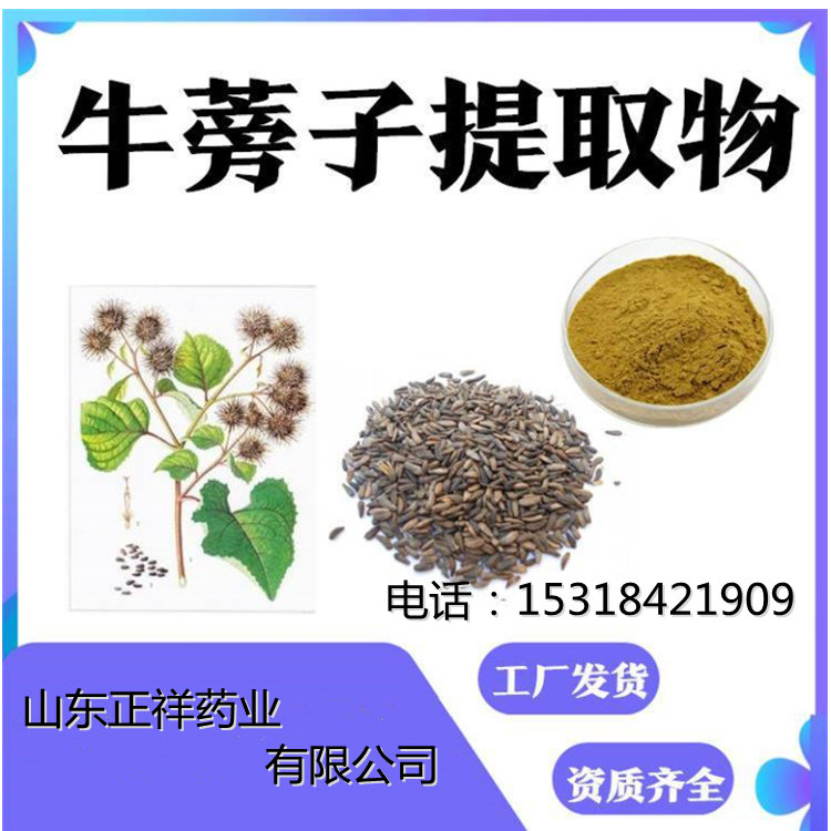 牛蒡粉 可定制 oem贴牌代加工 源头工厂代加工  规格齐全