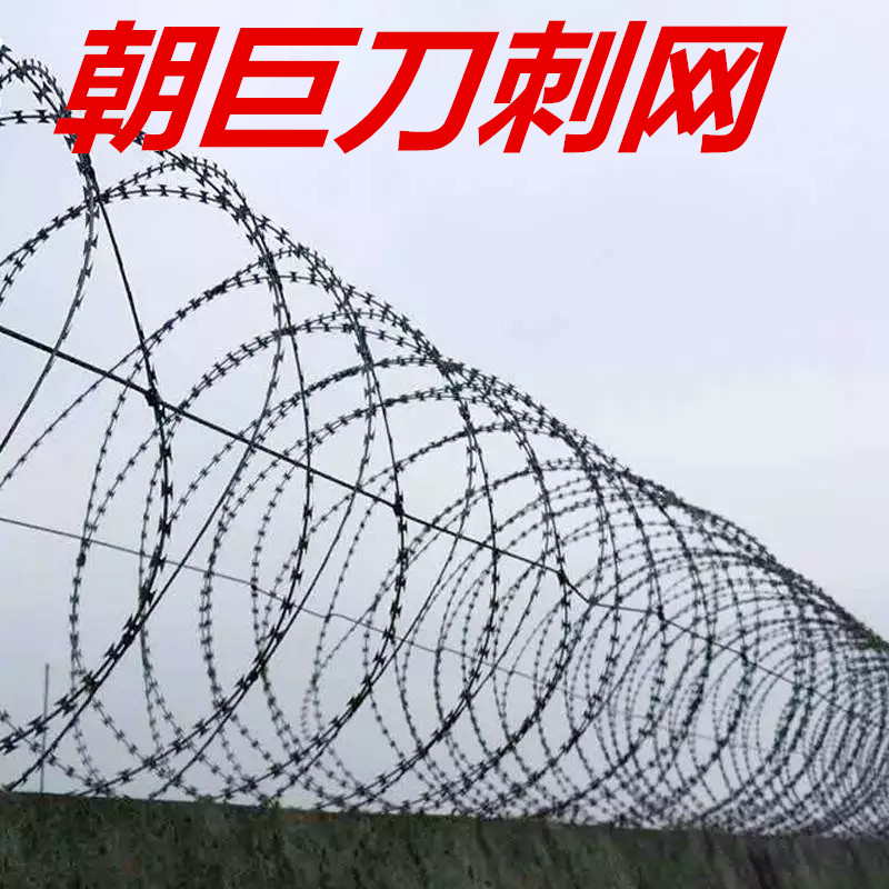 成都住宅小区围墙防爬刺网，成都部队围墙刀刺网，成都防盗刺丝网，刺绳网