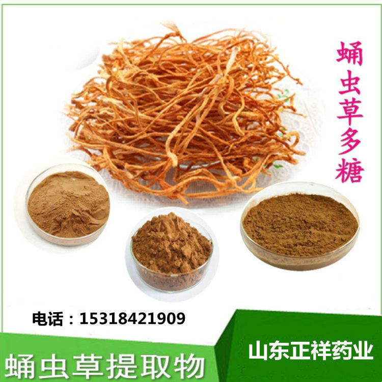 蛹虫草提取物源头厂家oem贴牌代加工 蛹虫草粉 <em>食品</em>级原料