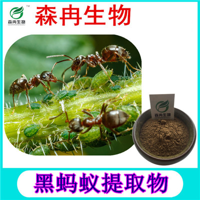 森冉生物 黑蚂蚁提取物 黑蚂蚁粉 植物提取原料粉