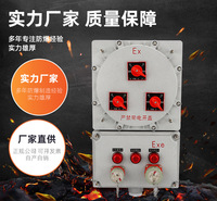 BXX防爆配电动力检修箱AC防爆插座检修箱防爆检修电源箱