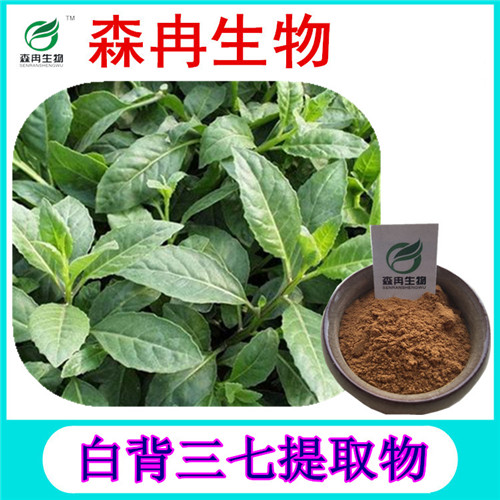 森冉生物 白背三七提取物 白子菜提取物 植物提取原料粉
