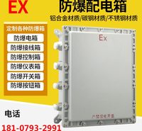 定做防爆配电箱不锈钢箱500*400空箱隔爆箱检修控制箱接线箱