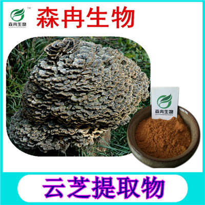 森冉生物 云芝提取物  云芝多糖 多种规格 全水溶
