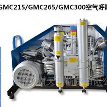 盖玛特GMC215/GMC265/GMC300空气呼吸器填充泵