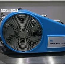 正压式空气呼吸器填充泵宝华BAUER300-TE