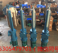 DT电动推杆  电动推杆  DT500电动推杆  济宁向上金品电动推杆