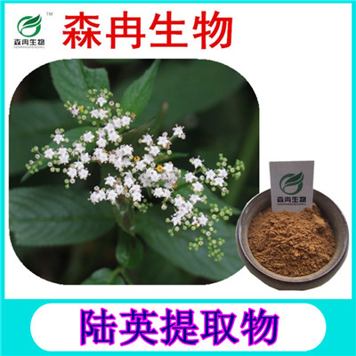 森冉生物 陆英提取物 臭草提取物 植物提取原料粉