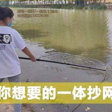 吸浮王锂电一体杆,锂电打渔杆