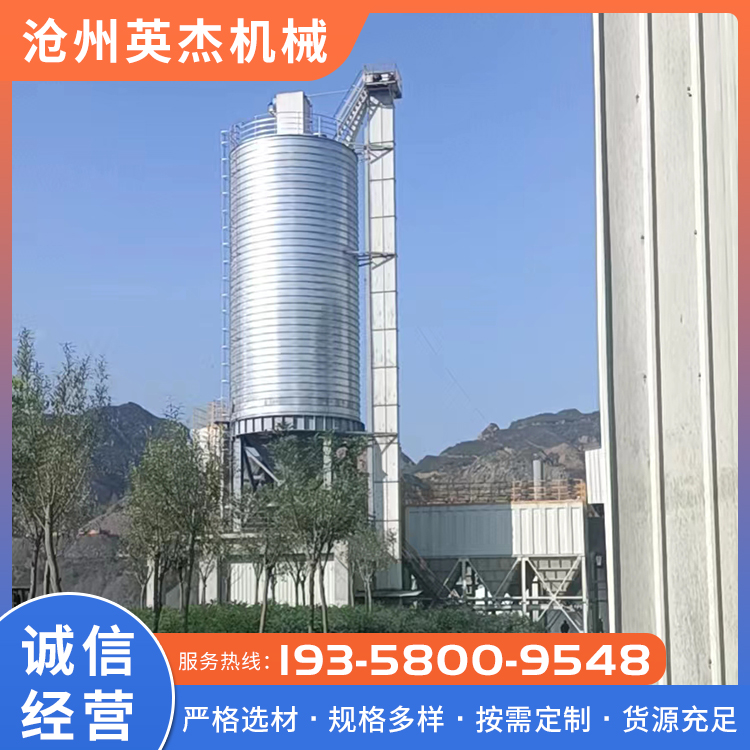 按需定制 斗式提升机 垂直输送设备 规格多样 运行平稳