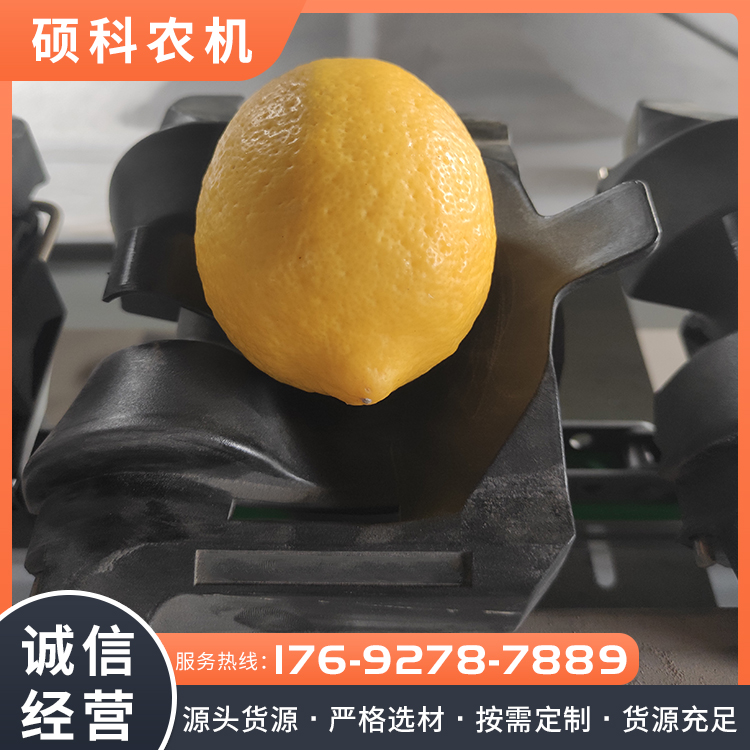 柠檬分选设备 自动称重分拣机 按需定制 欢迎选购