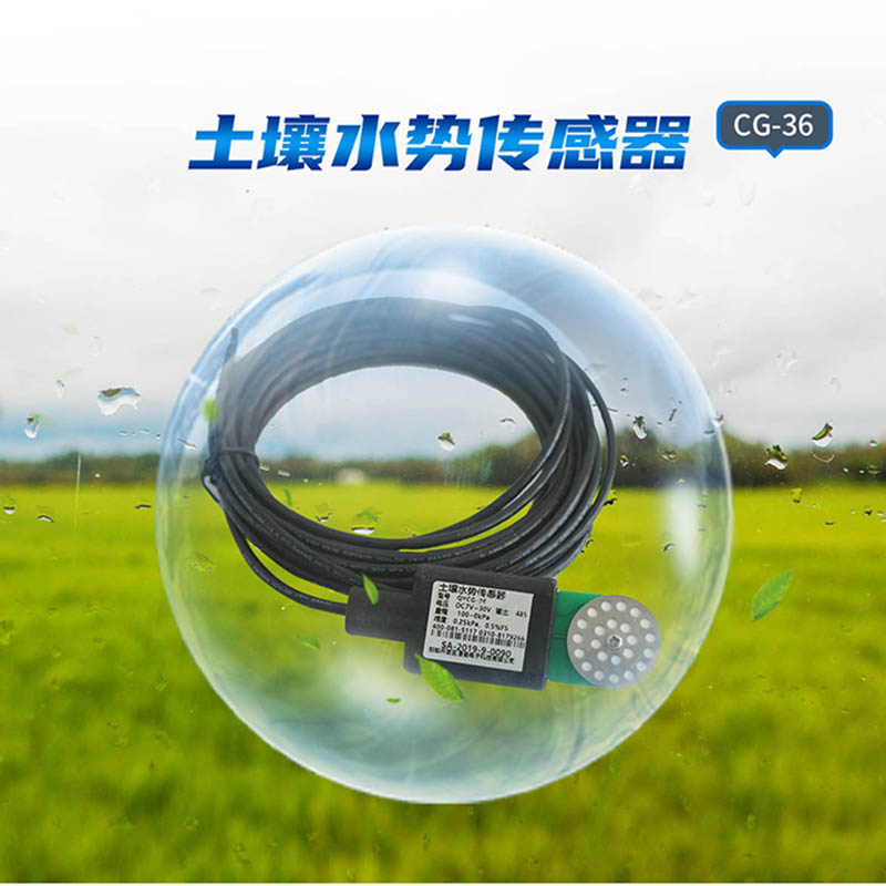 土壤水势传感器 CG-36 土壤张力计