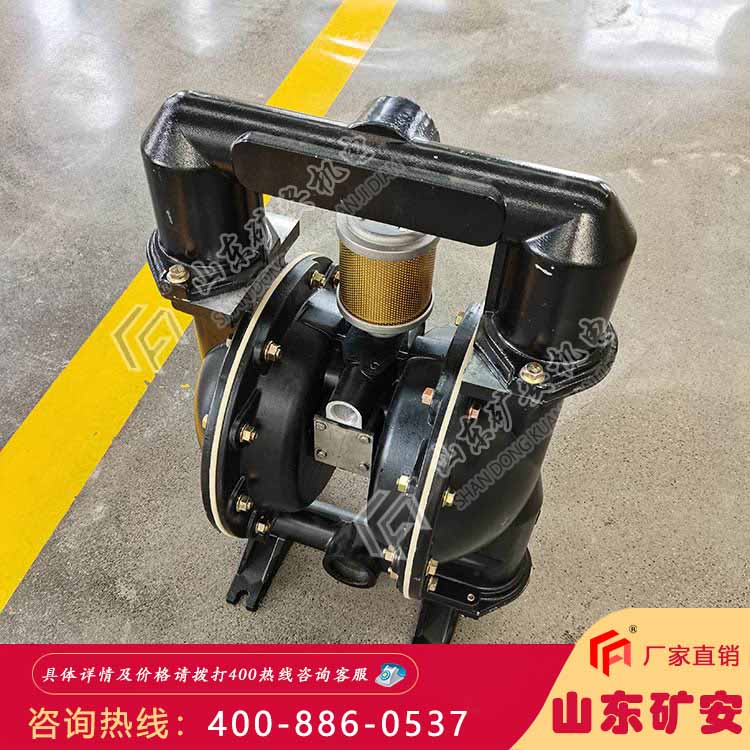 BQG460/0.2气动隔膜泵结构组成
