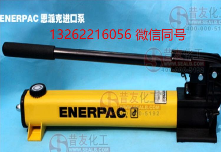 恩派克P-392带压堵漏液态高压注剂枪 可使用密封注射阀注胶阀
