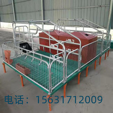 猪场复合双体母猪产床热镀锌大架复合漏粪板保温箱