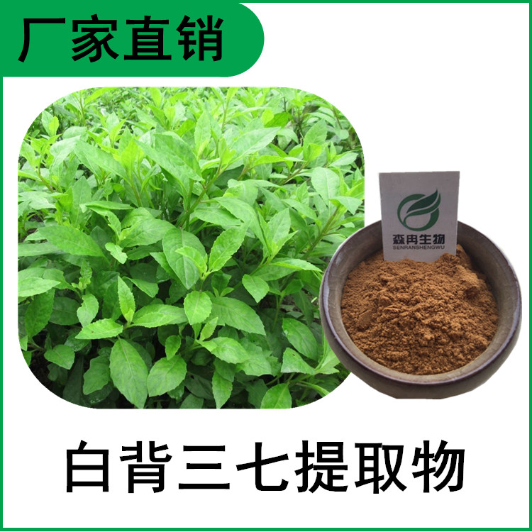 白背三七提取物 白子菜提取物 比例提取 多种规格