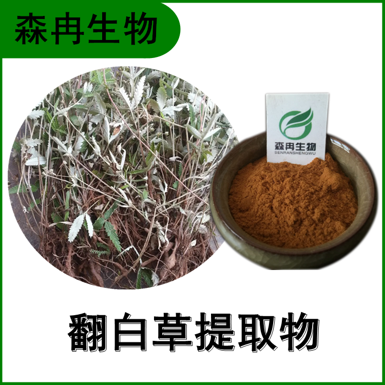 翻白草提取物 鸡腿儿提取物  比例提取 多种规格