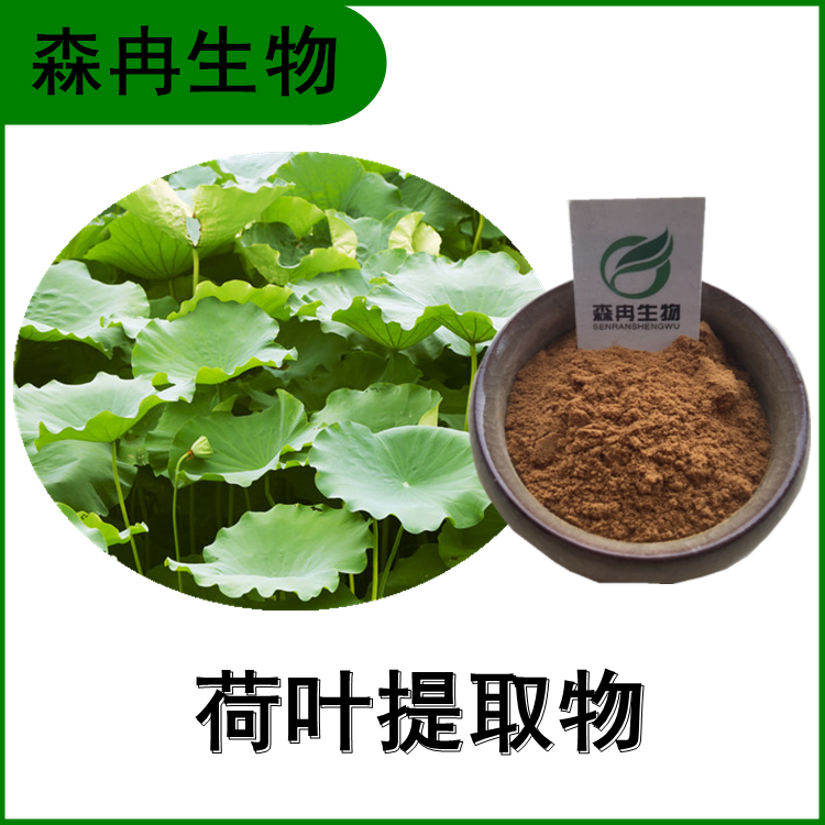 荷叶提取物 荷叶碱 莲叶提取物 比例提取 多种规格