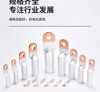DTL-95单孔铜铝过渡线耳 接线端子 铜铝过渡接头原理