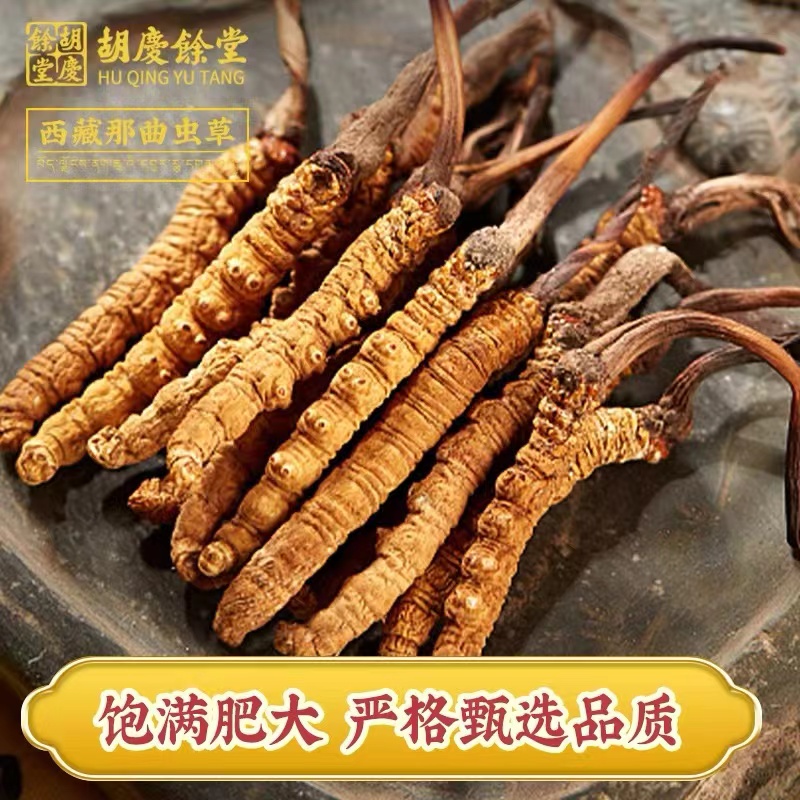杭州胡庆余堂一批一检西藏那曲冬虫夏草甄选品质批发订购分销招商