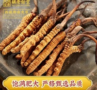 杭州胡庆余堂一批一检西藏那曲冬虫夏草甄选品质批发订购分销招商