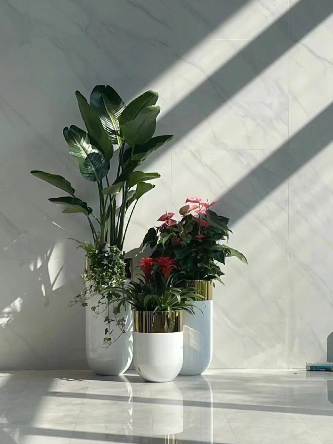 中山租花公司