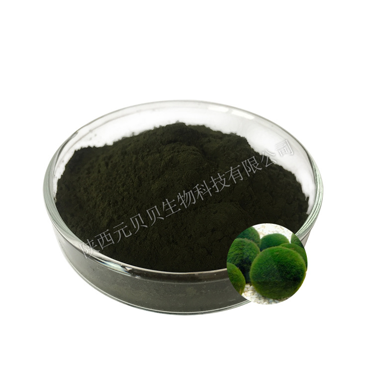 厂家直发小球藻粉食品级原料