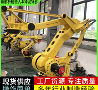 发那科负载185公斤大型码垛机器人