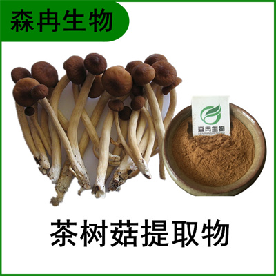 森冉生物 茶树菇提取物 茶树菇多糖 全水溶原料粉