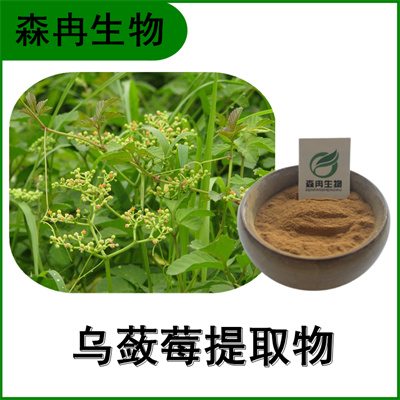 森冉生物 乌蔹莓提取物 五爪藤提取物 植物提取原料粉