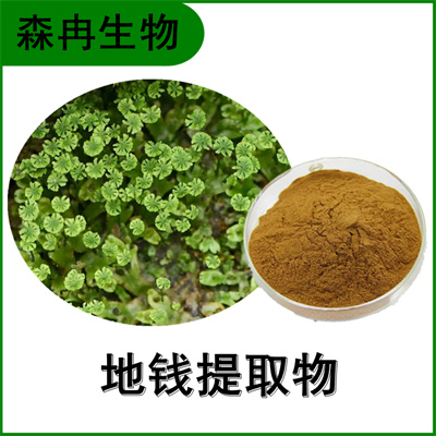 森冉生物 地钱提取物 地浮萍提取物 植物提取原料粉
