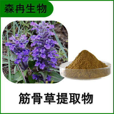 森冉生物 筋骨草提取物 白毛夏枯草提取物 全水溶原料粉