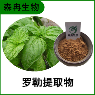 森冉生物 罗勒提取物 九层塔提取物 植物提取原料粉