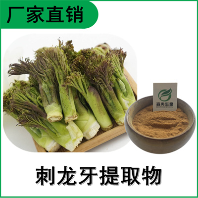 森冉生物 刺龙牙提取物 刺老芽提取物 全水溶原料粉