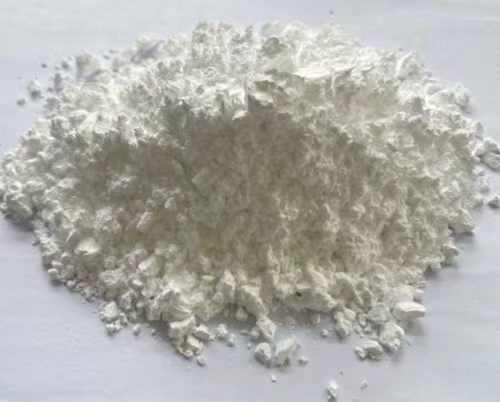 布吕格曼 BRUGGOLEN H10