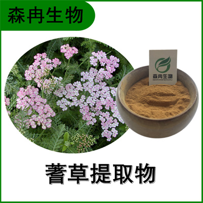 森冉生物 蓍草提取物 一枝蒿提取物 比例提取原料粉