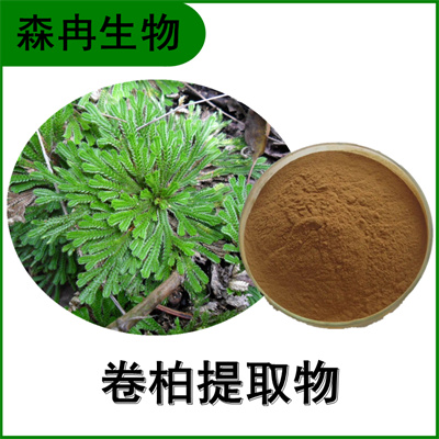 森冉生物 卷柏提取物 回春草提取物 全水溶原料粉