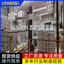 智能双工位立柱式码垛机 坐标码垛机 立柱码垛机器人