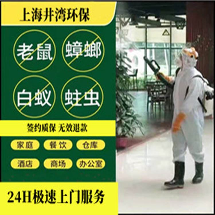 上海青浦区灭跳蚤公司 室内杀虫跳蚤除螨虫齿虫 全市24小时上门服务