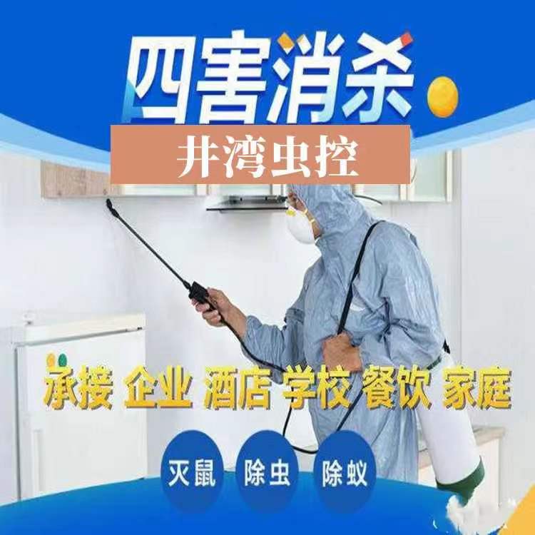 上海灭白蚁防治公司 灭虫灭蚂蚁灭跳蚤除螨虫 全屋白蚁防治中心