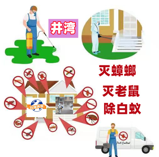 松江区九亭镇除四害公司 工厂单位银行学校灭老鼠灭蟑螂灭白蚁防治中心