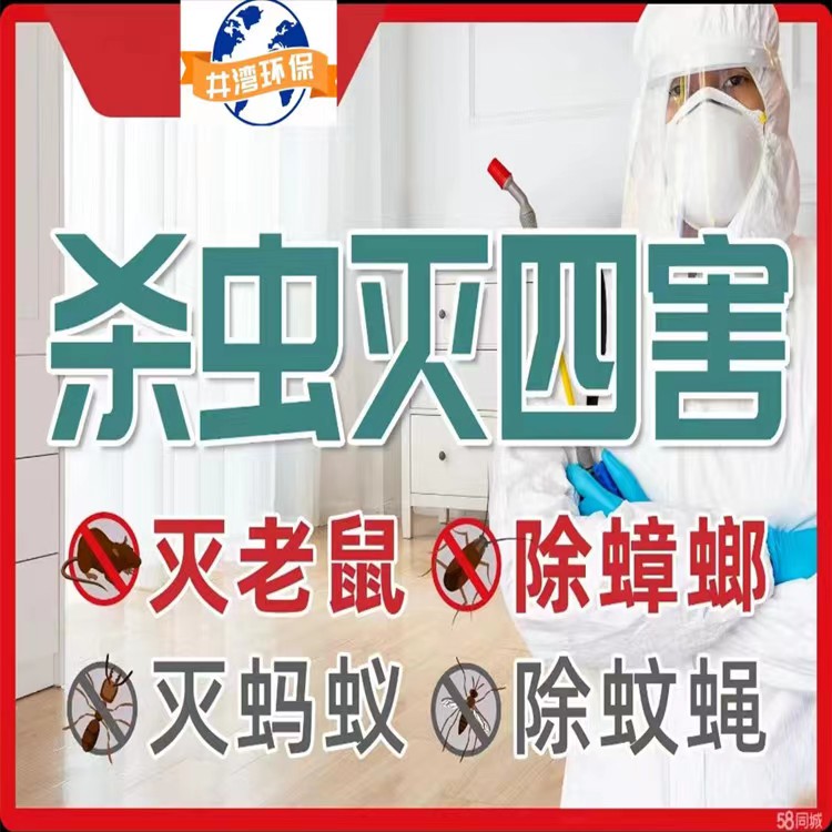 上海除四害服务公司 灭蚊蝇灭老鼠灭蟑螂灭白蚁防治 及时响应 专业团队
