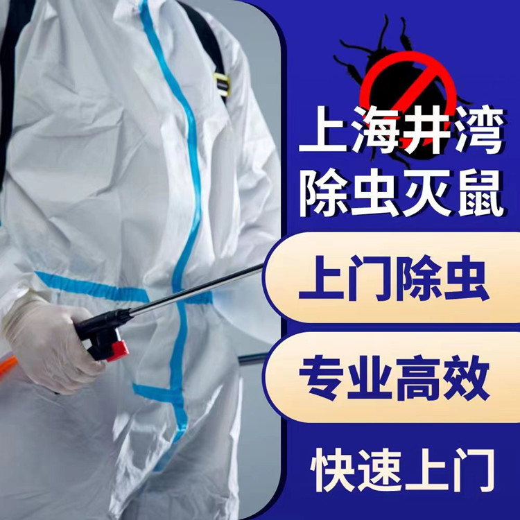 奉贤区食品厂灭四害小飞虫 单位物流杀虫灭鼠 上海市灭白蚁防治咨询