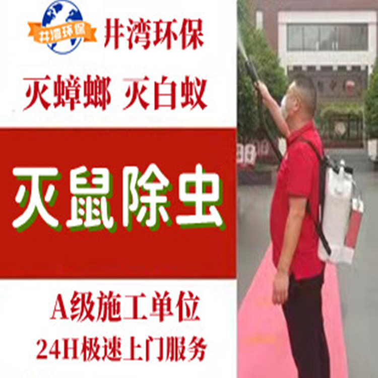上海除老鼠公司 灭虫灭蚊蝇灭跳蚤除螨虫灭蜈蚣 单位学校杀虫灭鼠服务