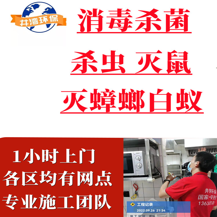 上海灭鼠公司 除虫除蚁除蟑螂杀臭虫除螨虫 企业工厂除四害消杀服务