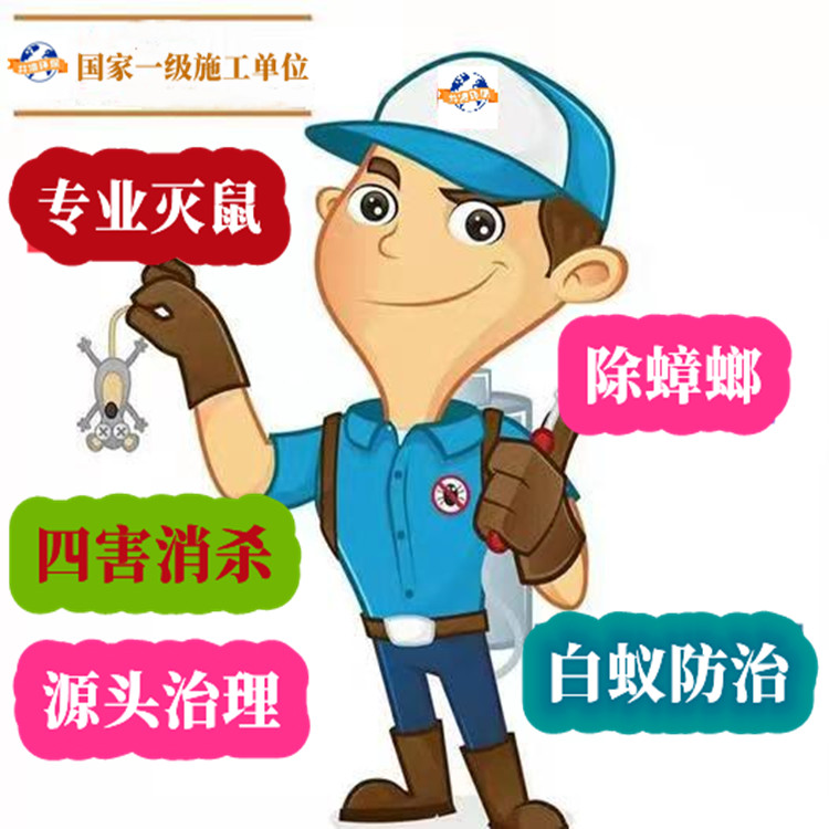 上海闵行区除虫公司 饭店酒店KTV灭小飞虫灭蟑螂 公寓除老鼠效果好